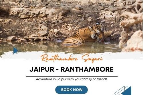 jaiopur ranthambore harivansh