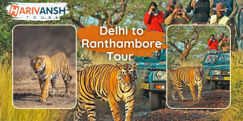Tempo Traveller Hire in Delhi to Ranthambore Tour 