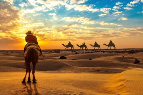 Desert Dunes Rajasthan