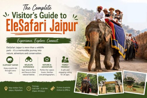 Ele Safari Jaipur